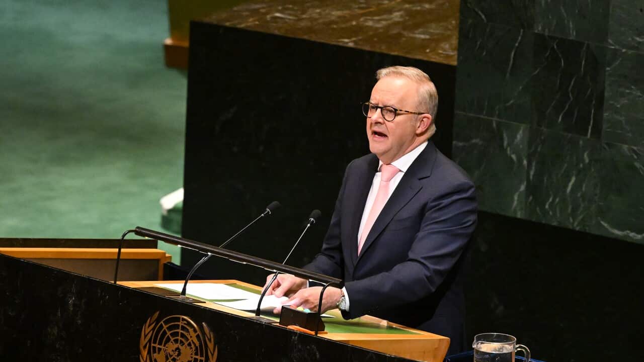 ANTHONY ALBANESE UNITED NATIONS