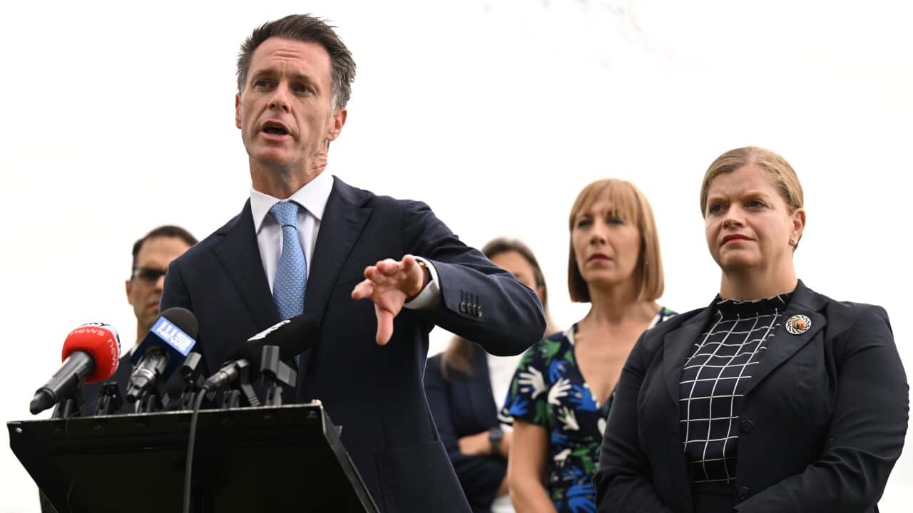 CHRIS MINNS FERRY PRESSER