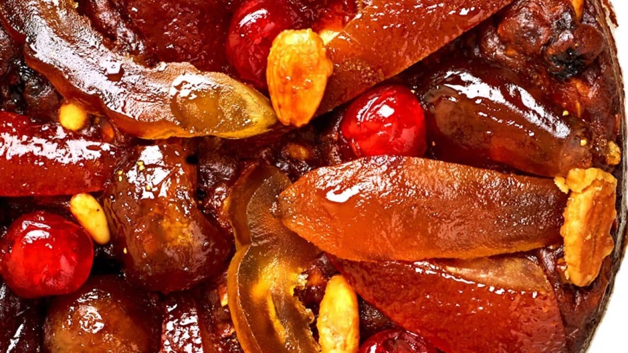 Il certosino bolognese (1).jpg