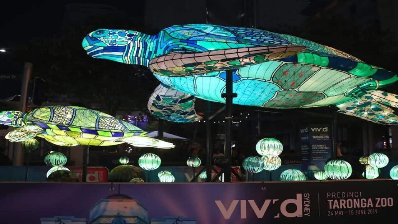 Light installations during a preview of Vivid Sydney 2019