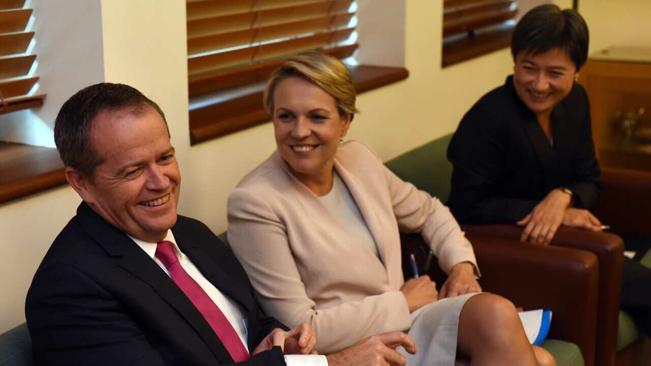 Federal opposition leader Bill Shorten (L), deputy opposition leader Tanya Plibersek (C) and Labor Senator Penny Wong (R) (AAP Image/Mick Tsikas) 
