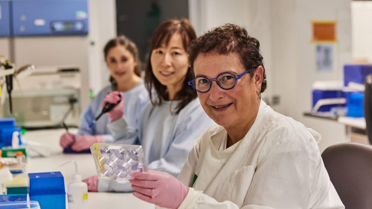 Image for read more article 'READ MORE'