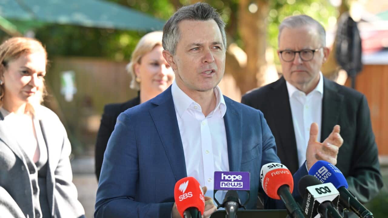 ANTHONY ALBANESE CHILDHOOD WORKERS PRESSER