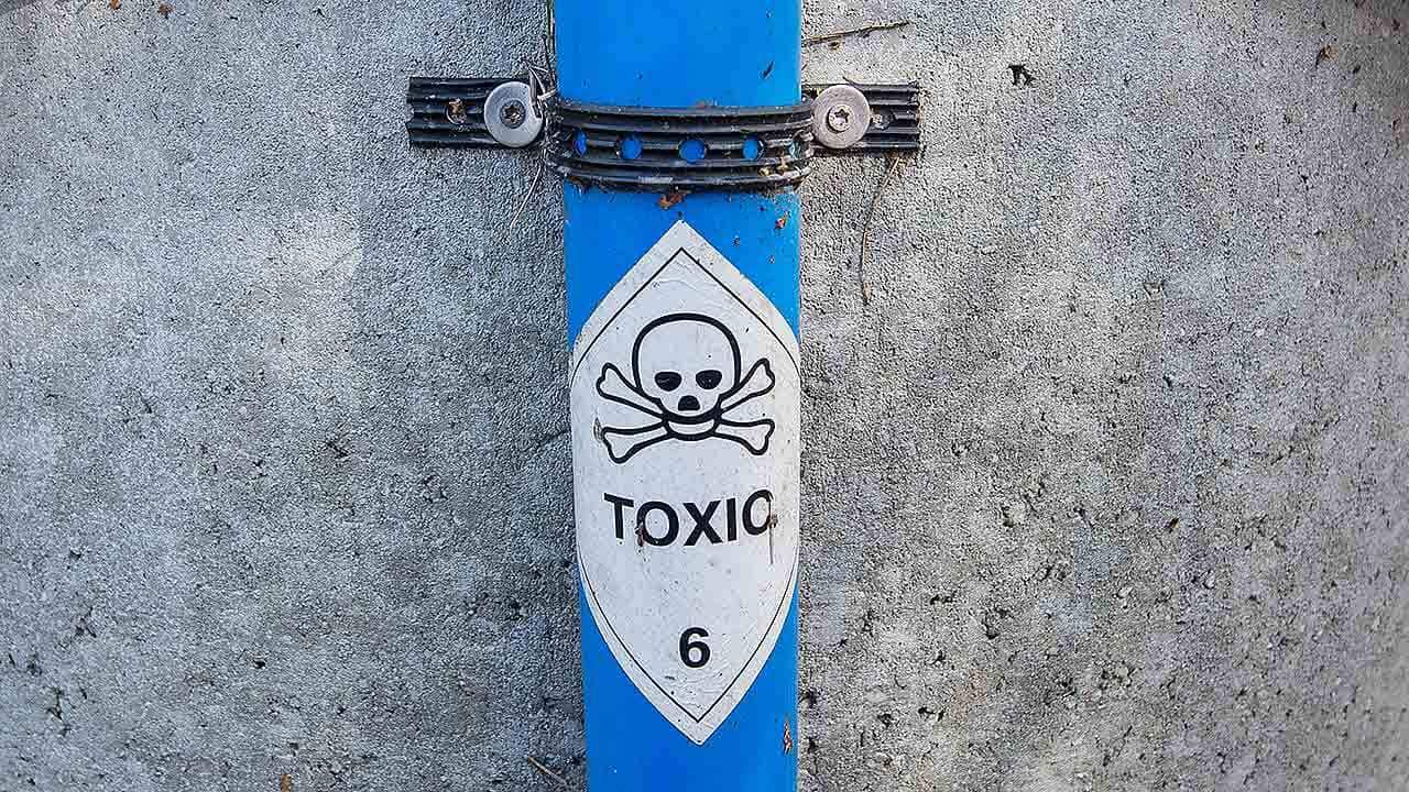 The Oxford Dictionary has nominated 'toxic' as the word of the year.