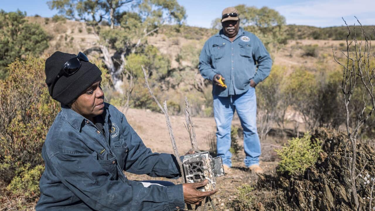 Indigenous Protected Area