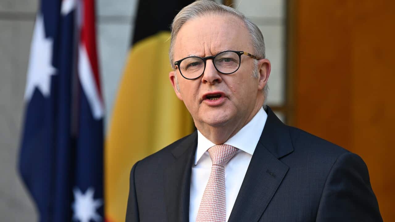 ANTHONY ALBANESE PRESSER