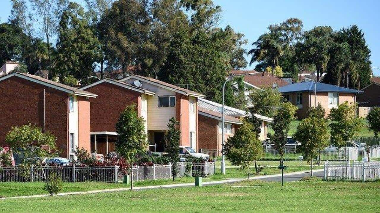 Houses on a typical suburban street.