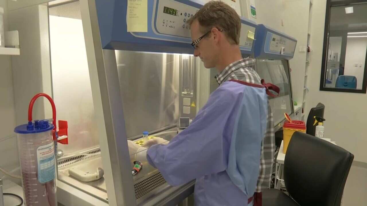 Head researcher Dr Philip Gregory and his team have been pledged $800,000 by the Federal Government.