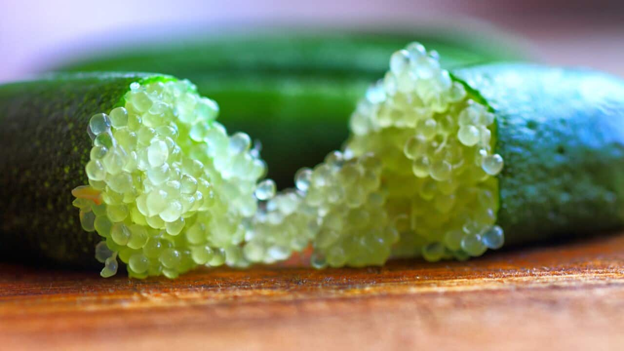 Finger limes taste sensational, but what makes them good for you? | SBS Food