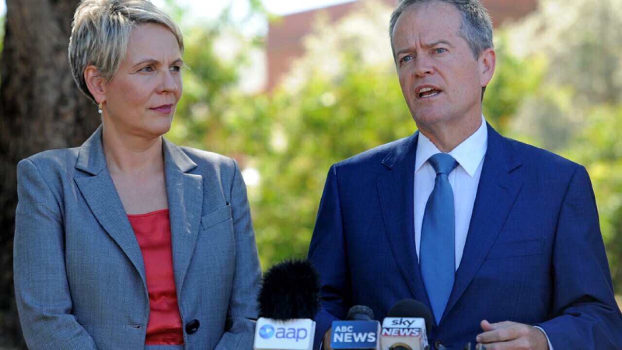 Opposition Leader Bill Shorten (R) and Deputy leader Tanya Plibersek