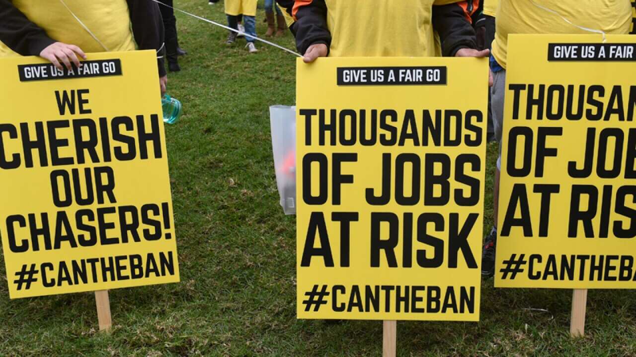 Demonstrators protest against a proposed ban to greyhound racing