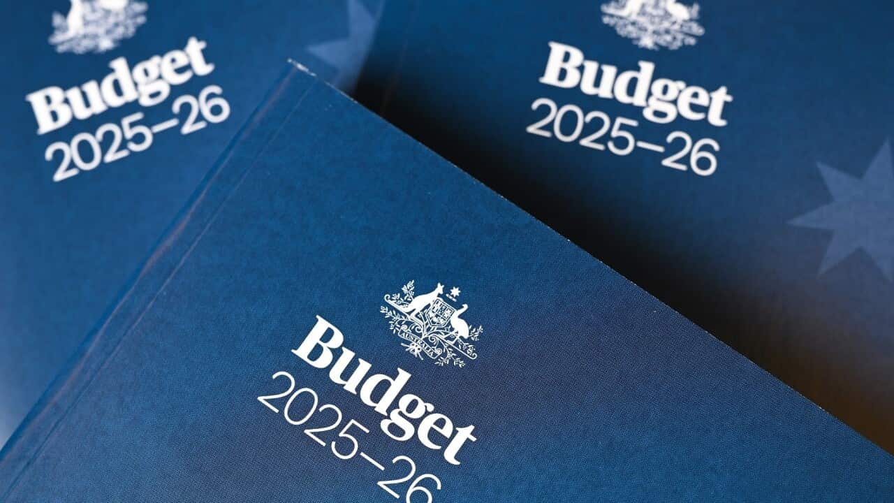 FEDERAL BUDGET 2025