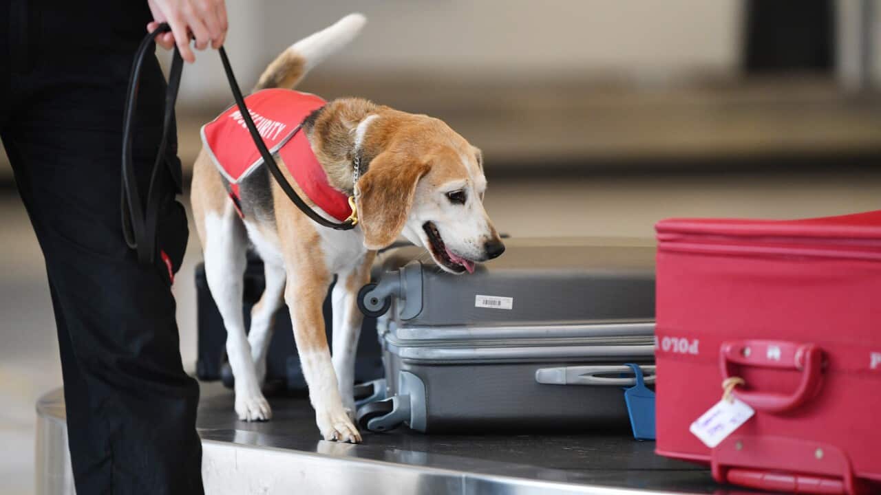 Image for read more article 'READ MORE'