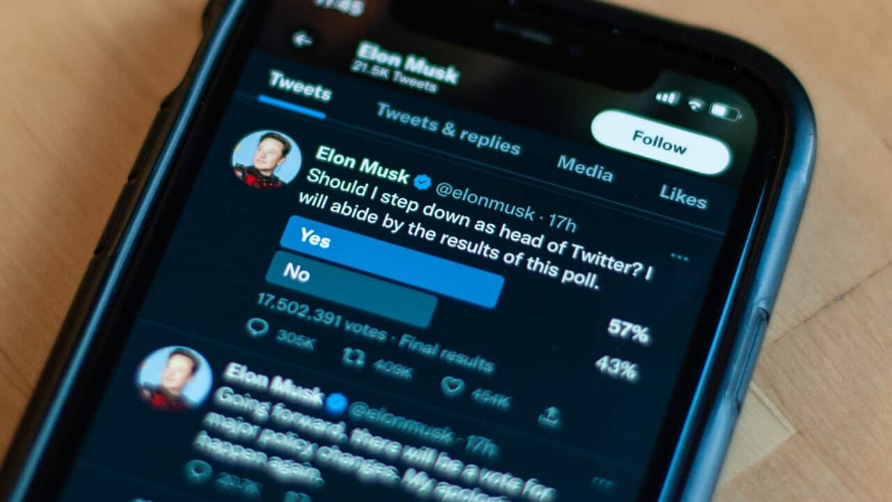 A mobile phone with a screen open that shows the result of a poll Elon Musk conducted on his Twitter account.