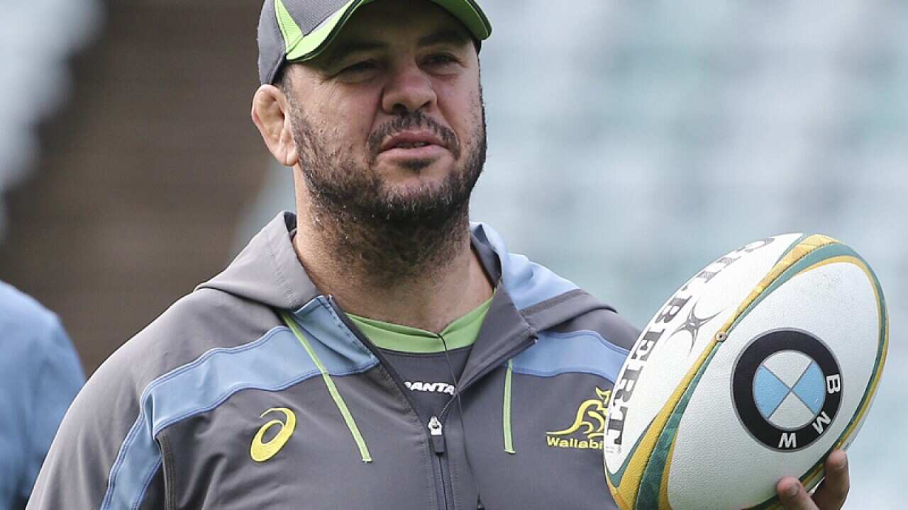 Australia rugby coach Michael Cheika