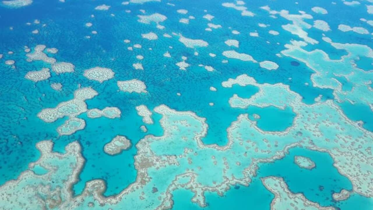 Part of the Great Barrier Reef.