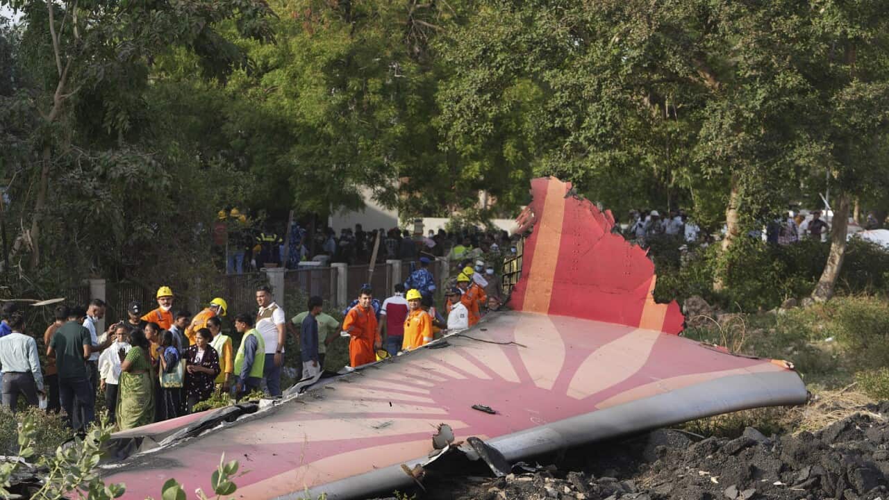 Only one survivor in deadly Air India plane crash | SBS News