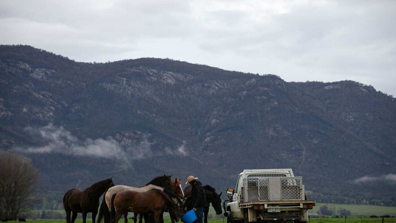 Image for read more article 'READ MORE'