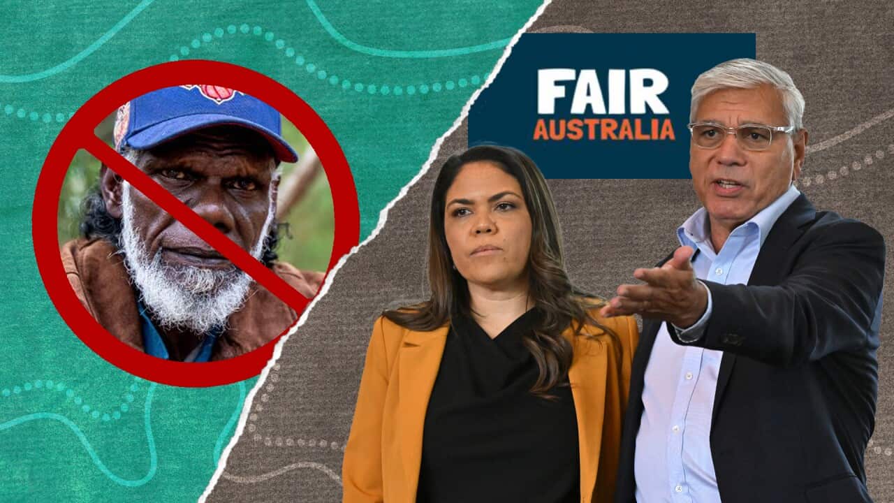 Image for read more article 'READ MORE'