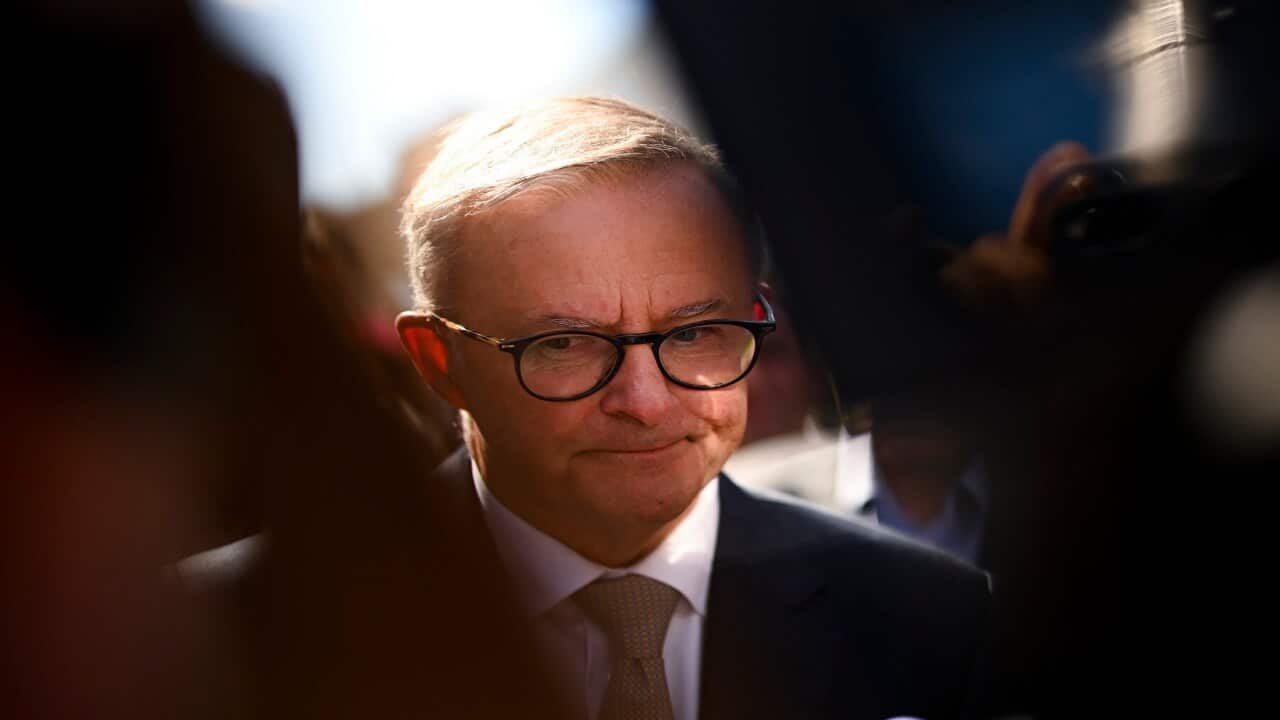 Opposition Leader Anthony Albanese in Devonport, Tasmania