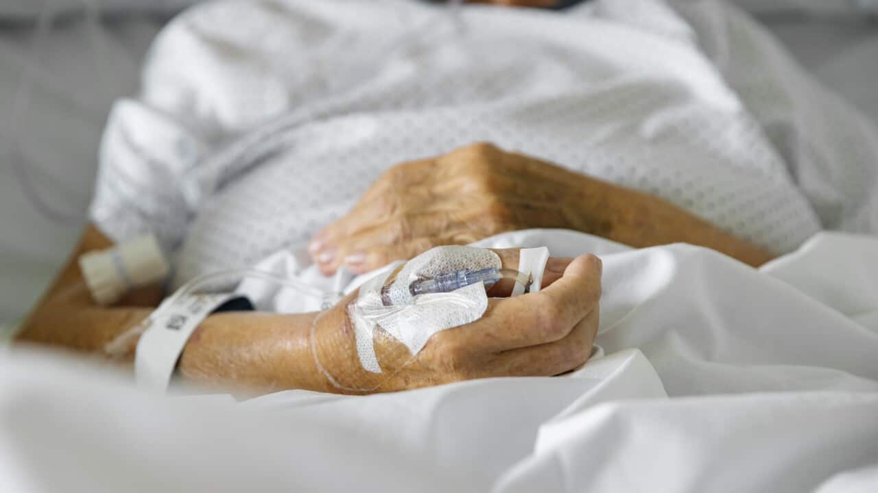 Elderly hands of a woman crossed over in a hospital bed