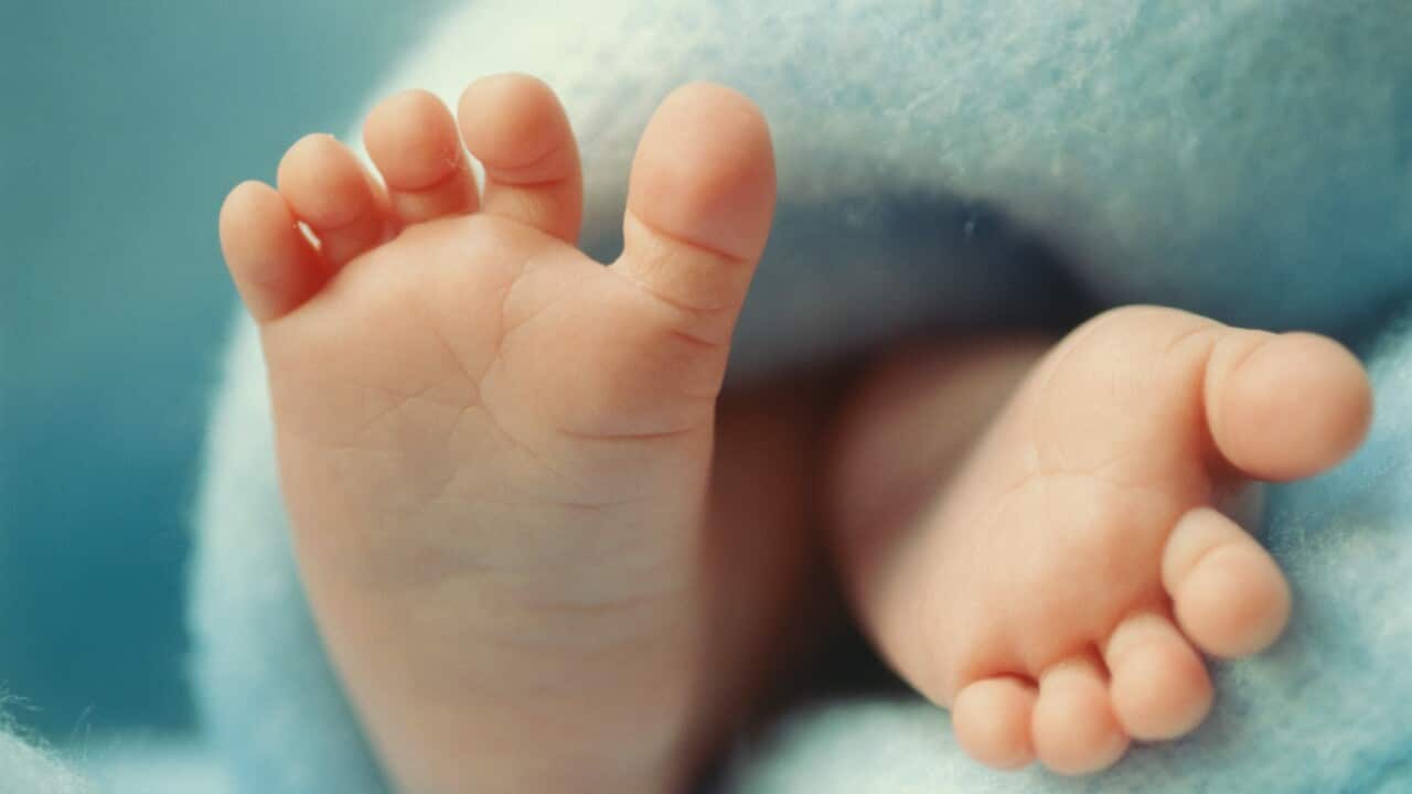 Baby's feet (0-3 months), close-up