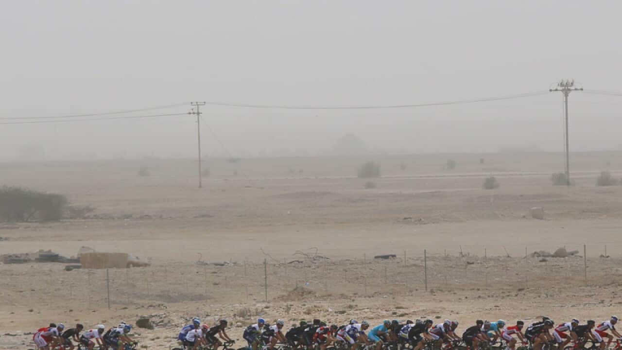 The peloton in action during the Tour of Qatar 2015