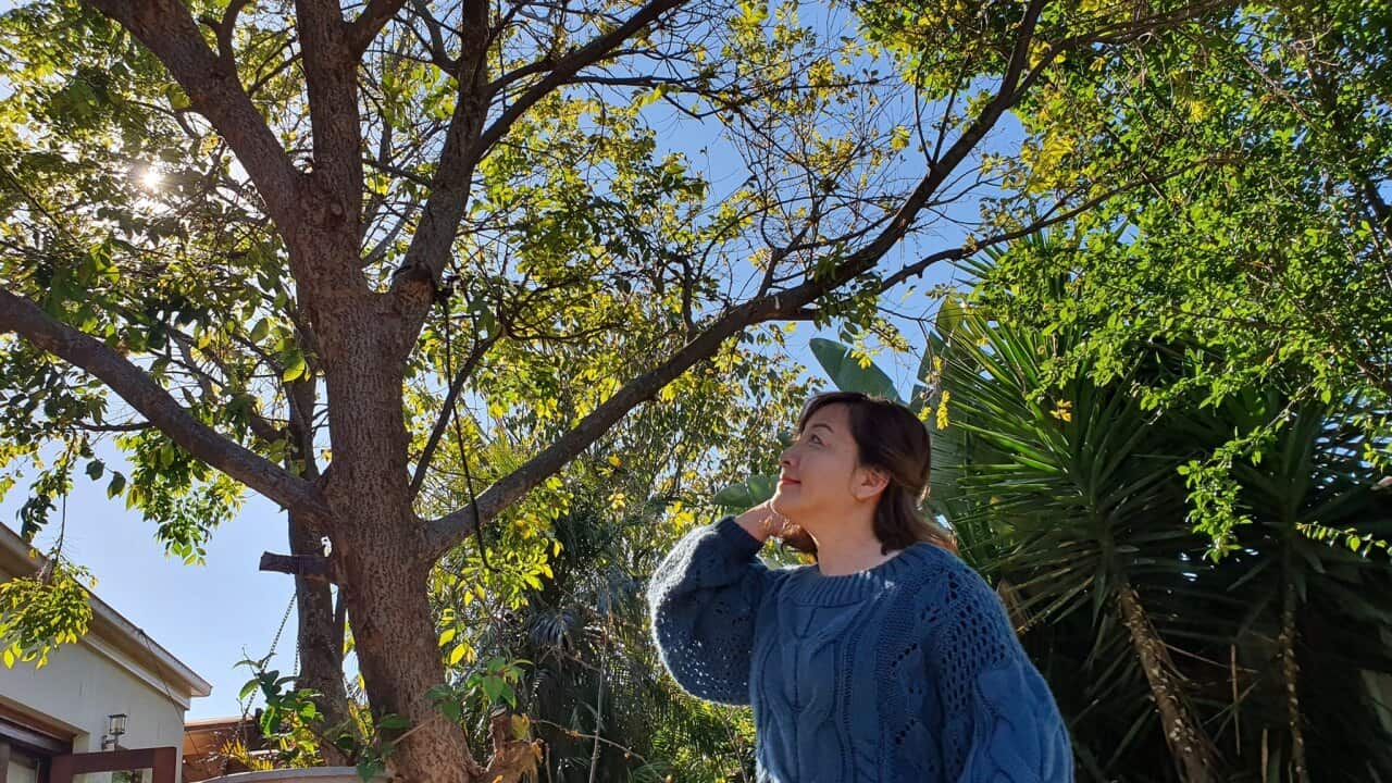 Image for read more article 'Xem thêm:'