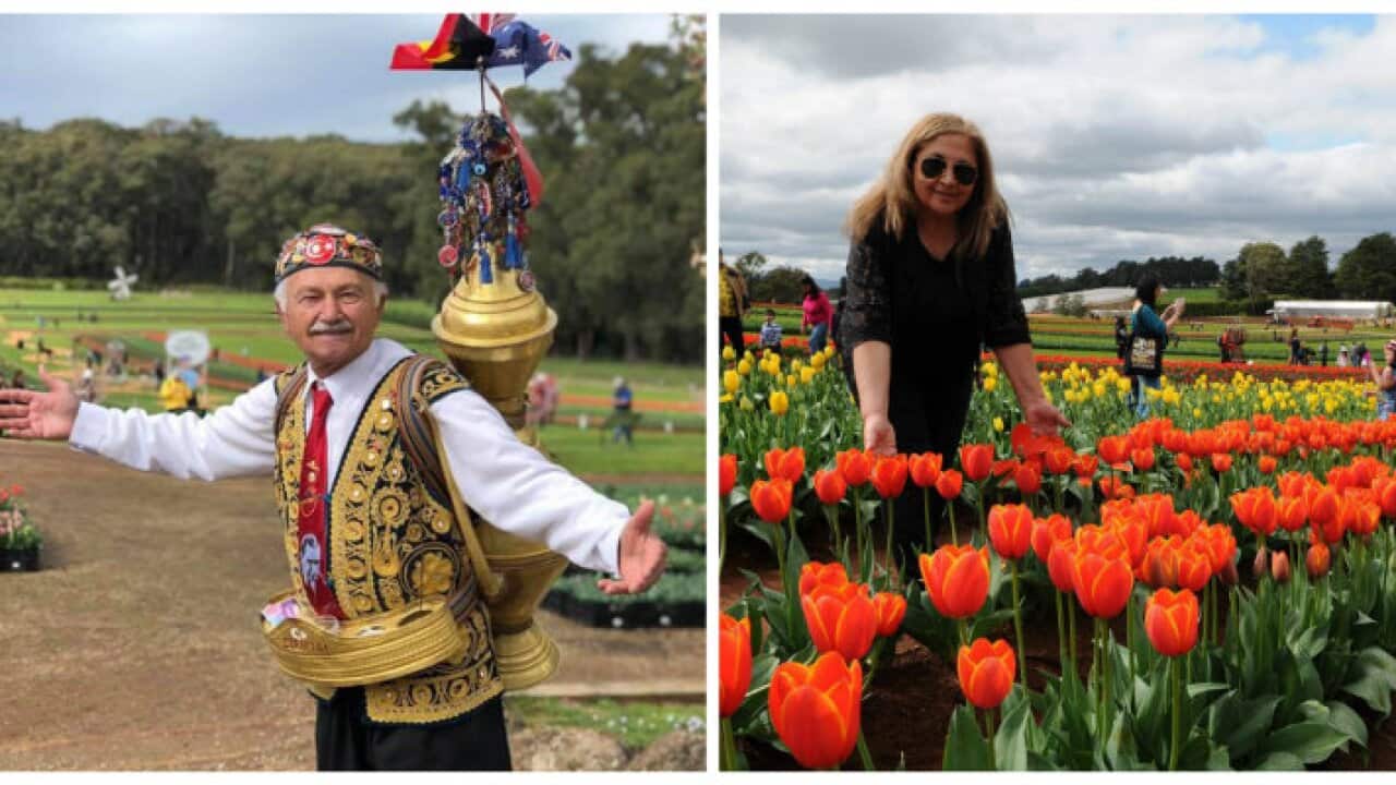 Tulip Festival