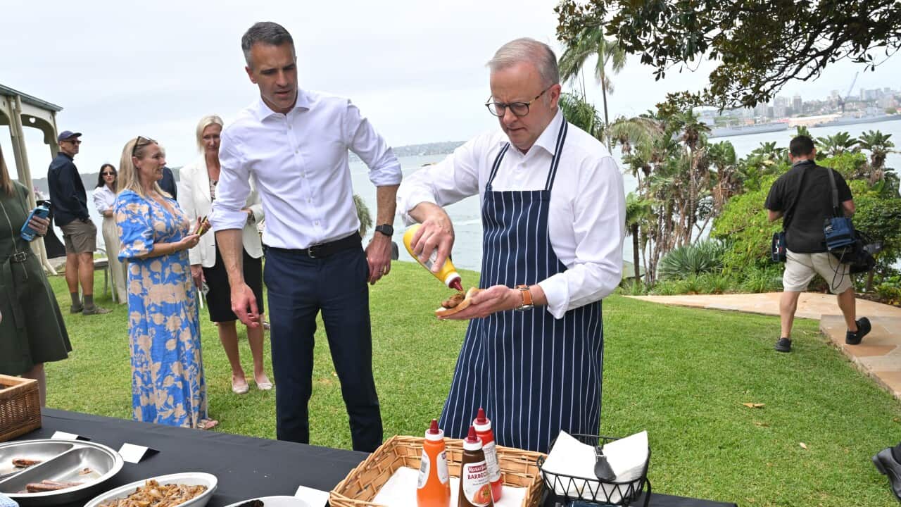 ANTHONY ALBANESE SOCIAL MEDIA BAN EVENT