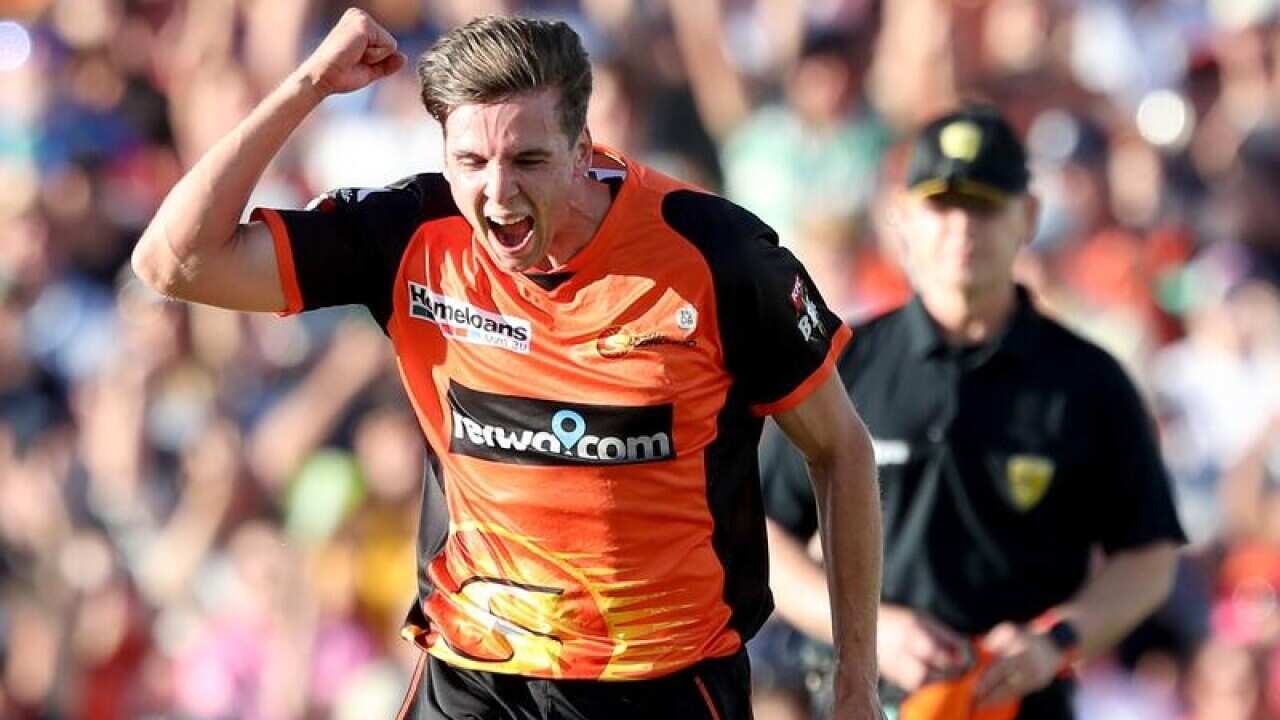 Jhye Richardson celebrates dismissing Glenn Maxwell.