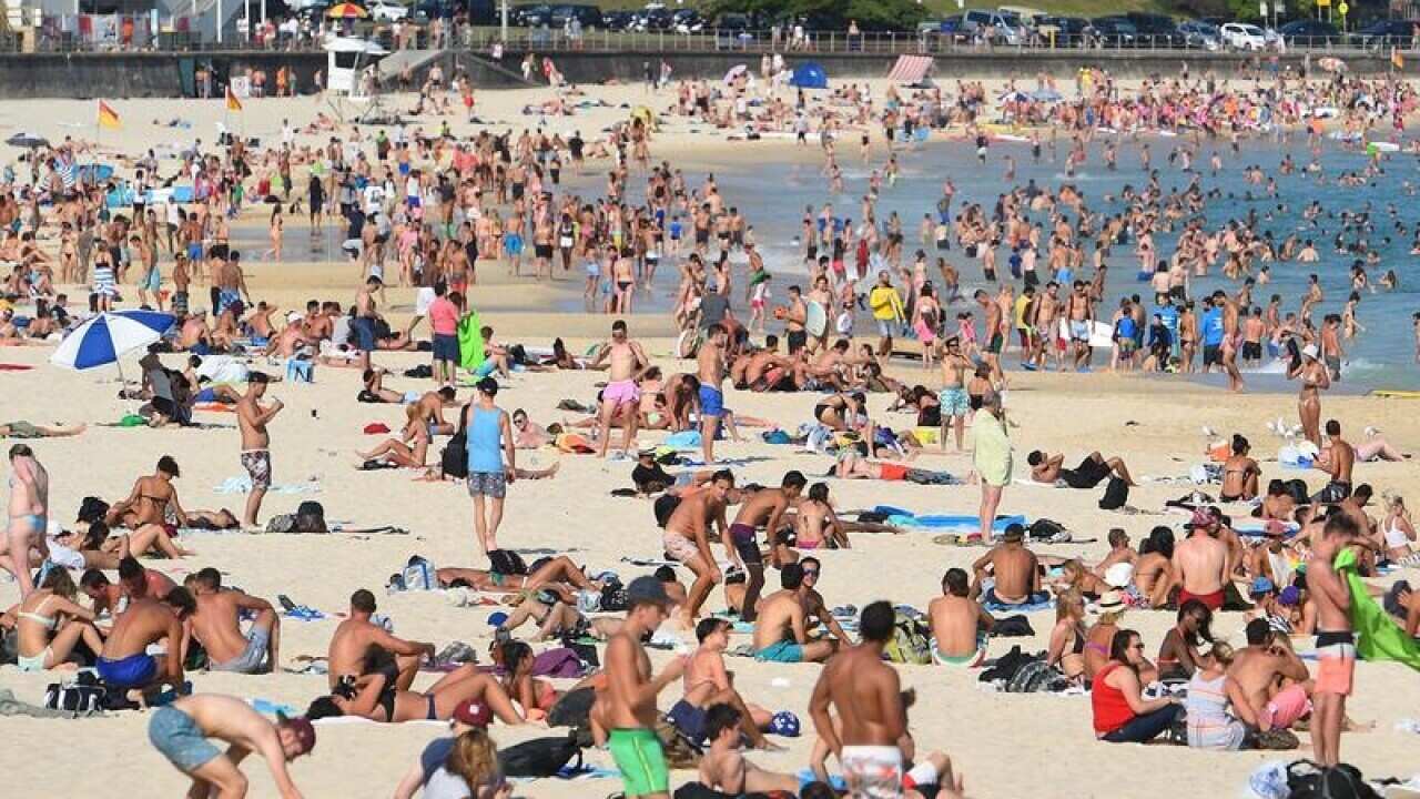 Bondi Beach