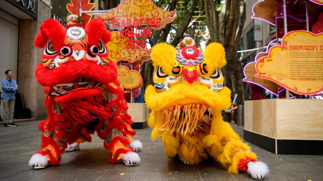 Two Chinese lion dancers dressed in vibrant red and yellow clothing are on all fours, side by side.