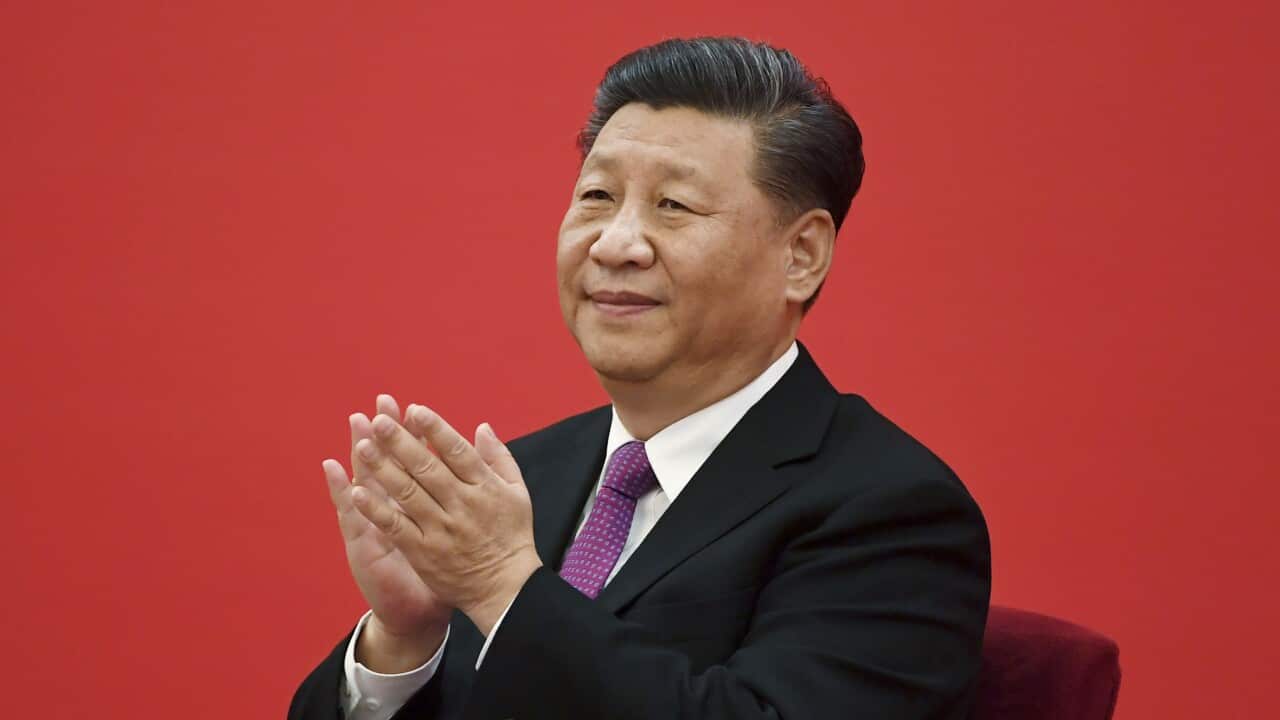 Russia-Ukraine war: Xi Jinping heads to Russia with peace plan Russia-Ukraine war: Xi Jinping heads to Russia with peace plan