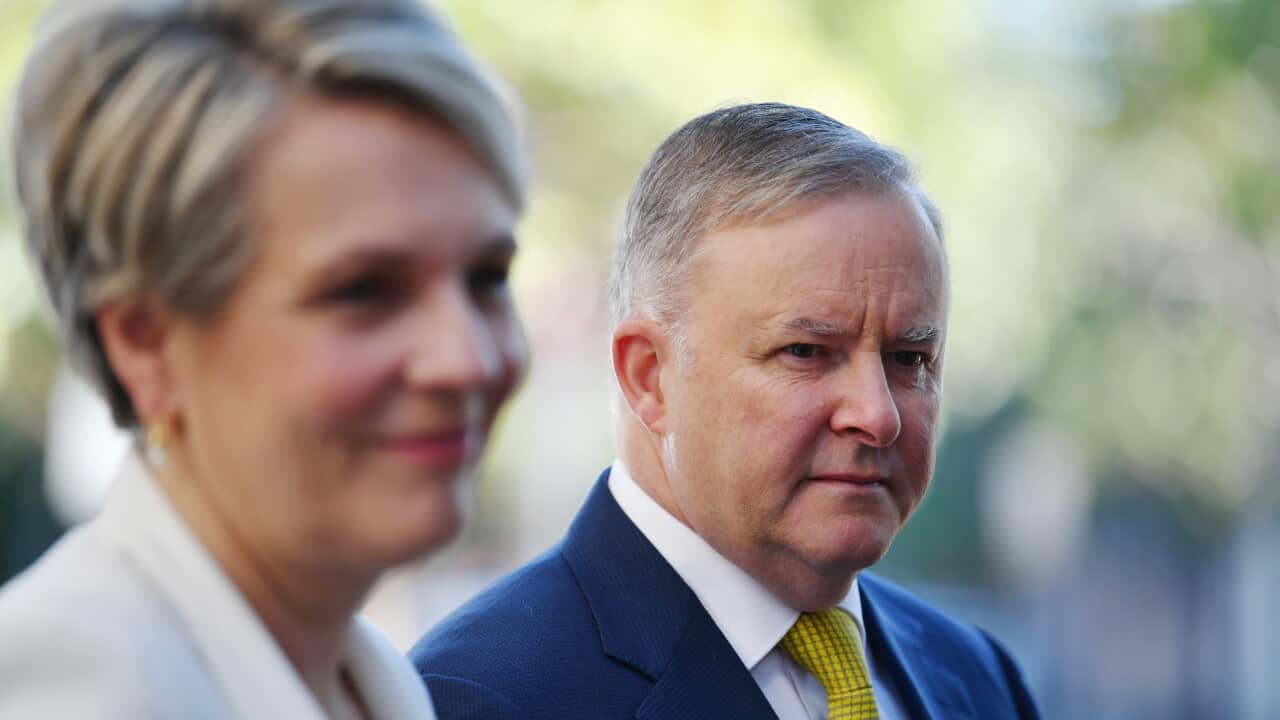 Leader of the Opposition Anthony Albanese and Shadow Minister for Education Tanya Plibersek 
