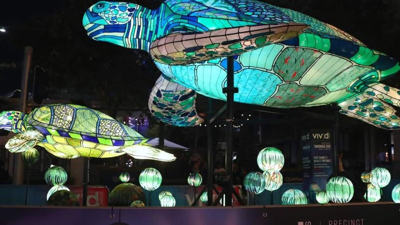 Light installations during a preview of Vivid Sydney 2019