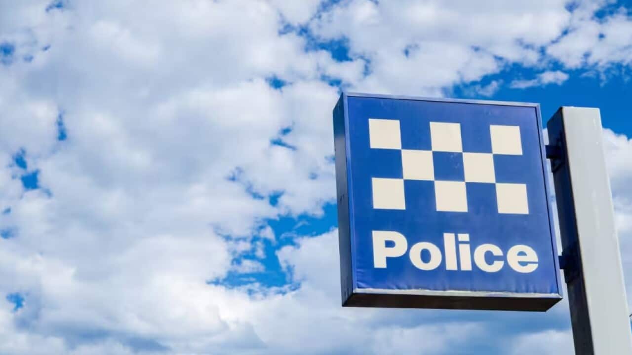 Screenshot 2025-02-19 161635.jpg