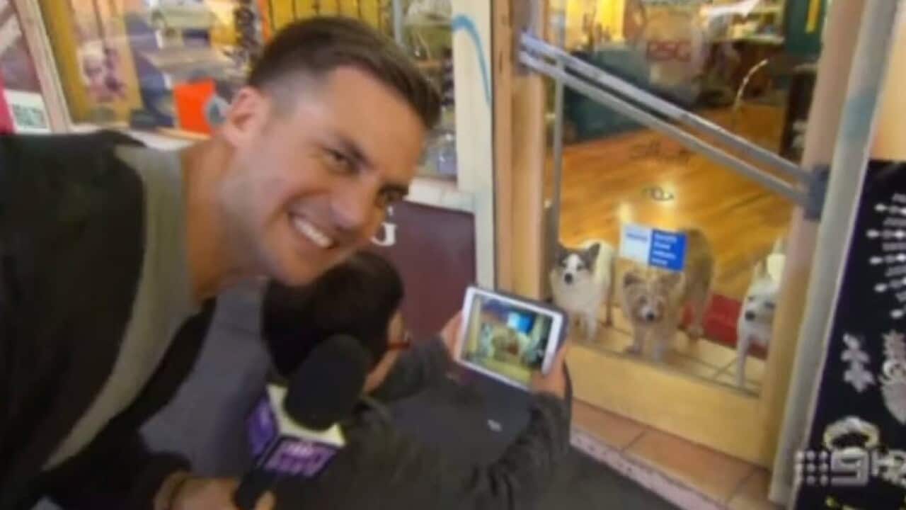 Beau knows
