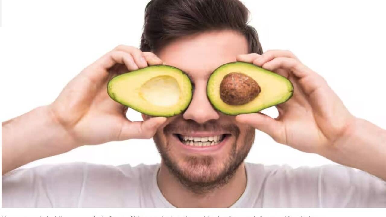 Avocats iStockphoto.jpg