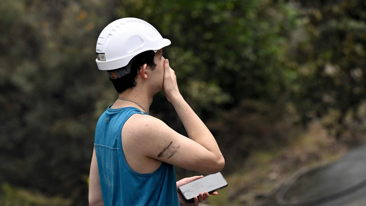 BUSHFIRE CENTRAL COAST