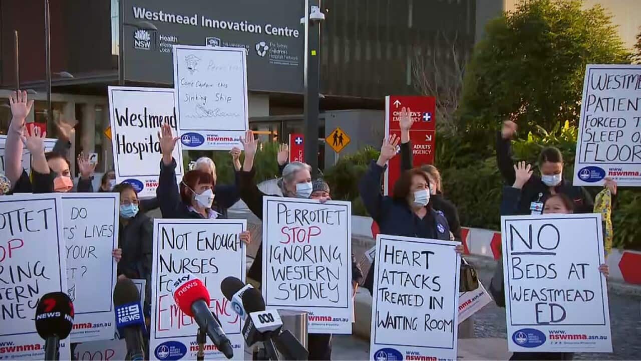 Nurses protest at Sydney's Westmead Hospital (SBS)