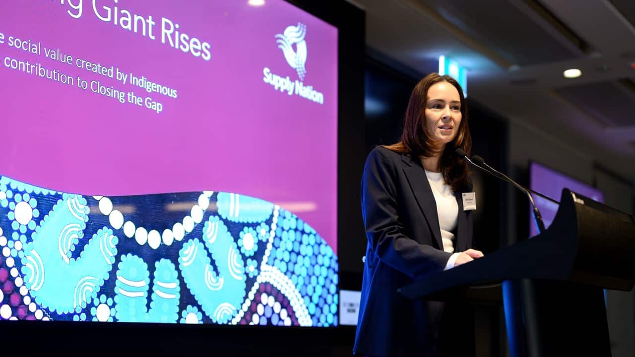 INDIGENOUS BUSINESS REPORT