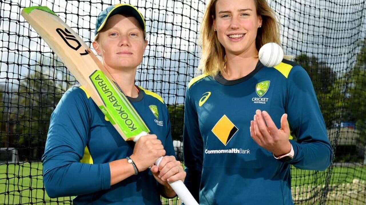 Aussies