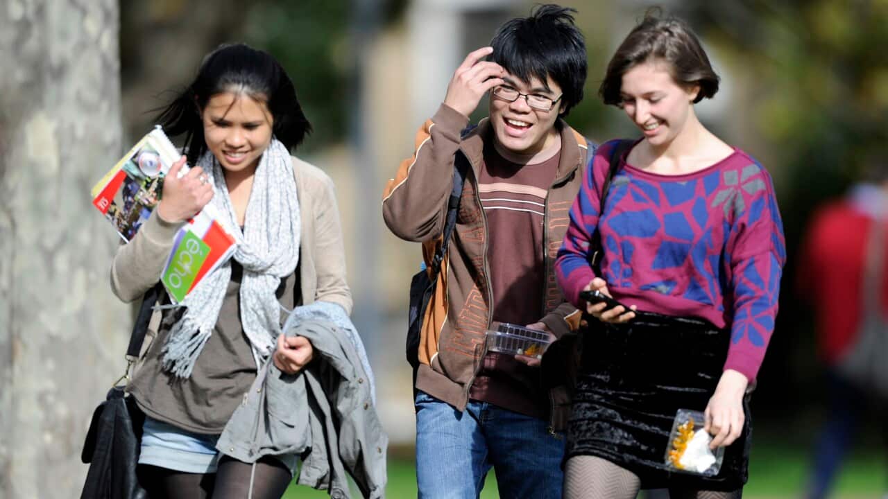 Tertiary students at the University of Melbourne in Melbourne