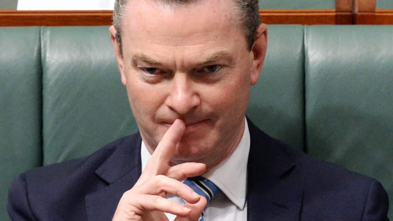 Australian Education Minister Christopher Pyne