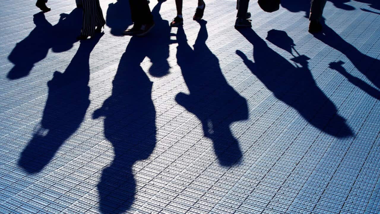 Scanlon Foundation's Social Cohesion survey