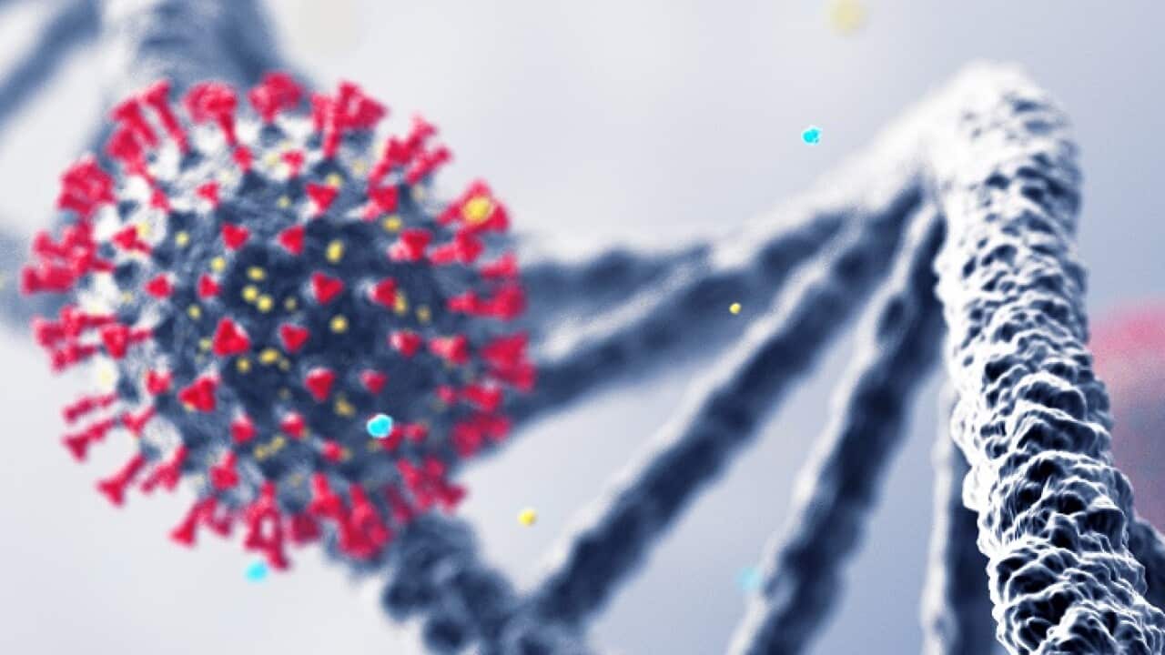 DNA Virus Wide