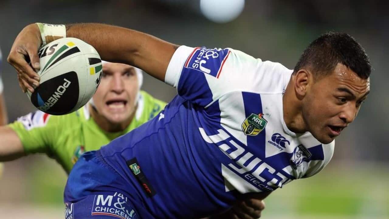 Krisnan Inu in action