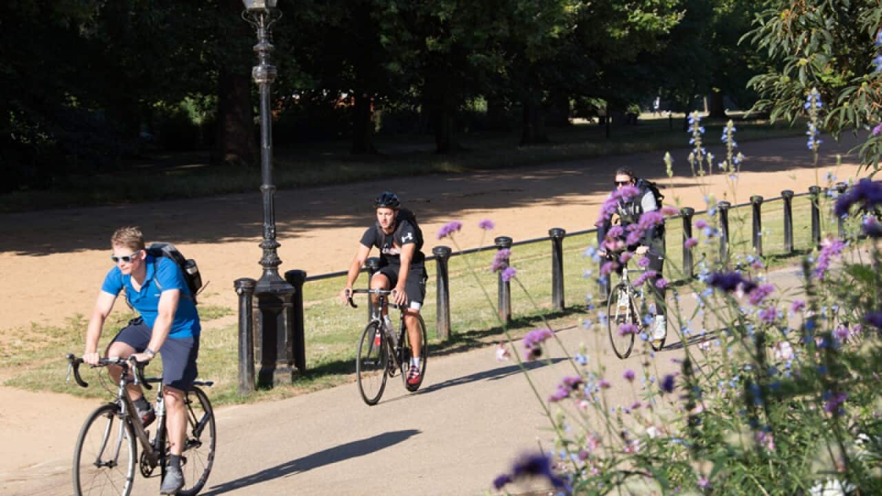 Cyclists commuting to work
