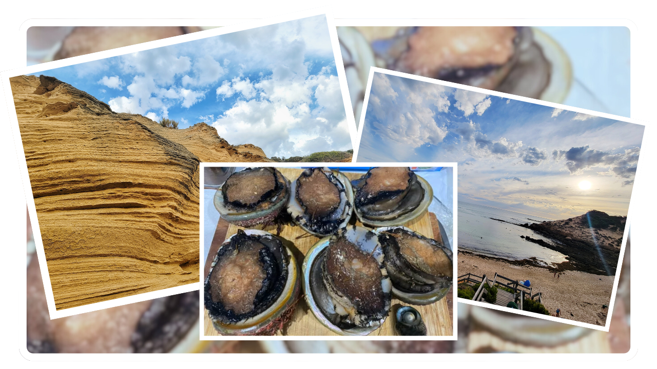 Copy of 1280 x 720 px (5).png